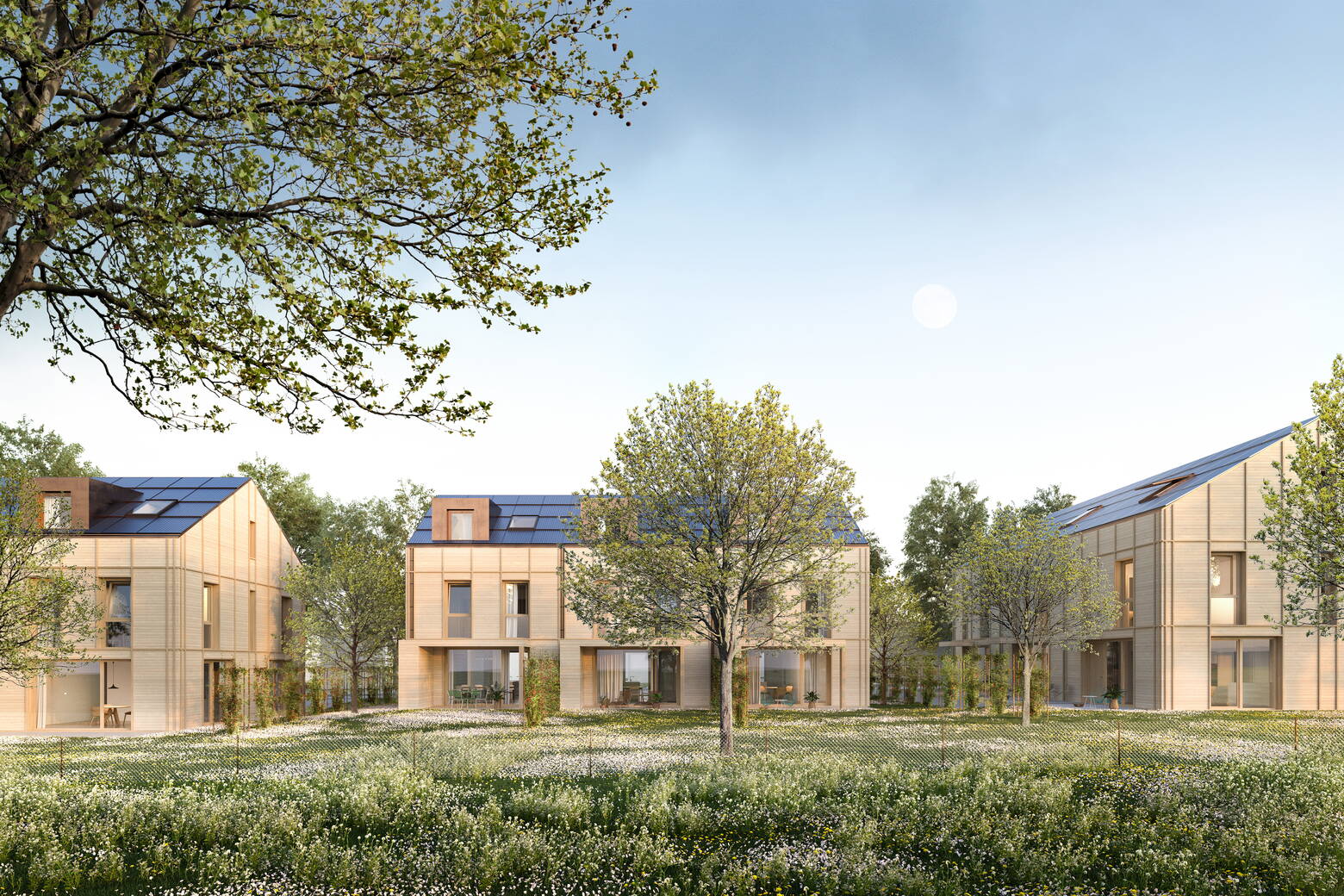 Neubau Reiheneinfamilienhäuser «Beim Niesen» Neubau Reiheneinfamilienhäuser «Beim Niesen»